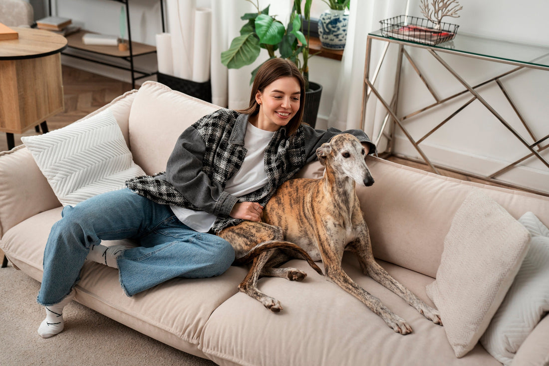 Pet Supplies: Everything Your Pet Needs for a Happy, Healthy Life